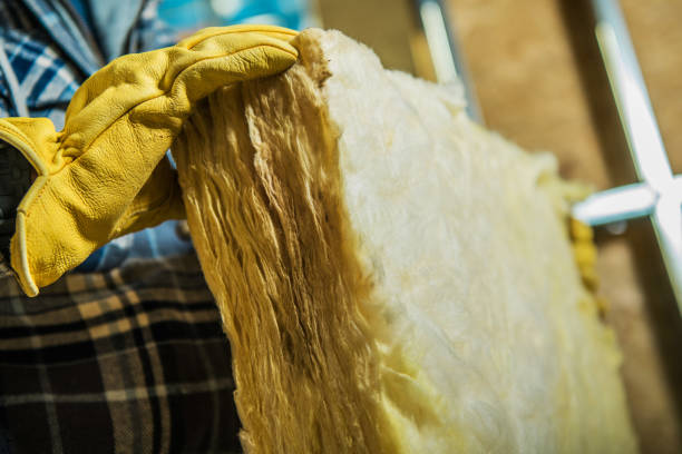 Best Specialty Insulation in Shinnston, WV